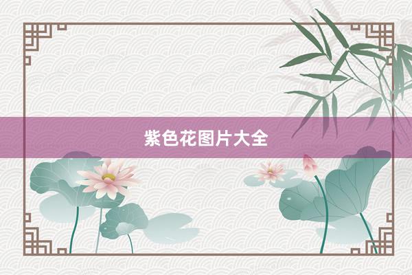 紫色花图片大全