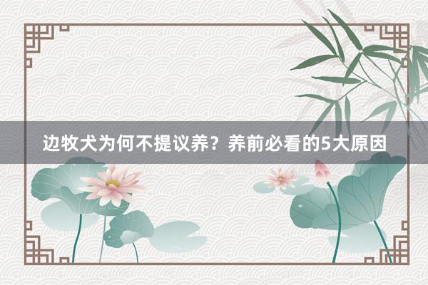 边牧犬为何不提议养？养前必看的5大原因