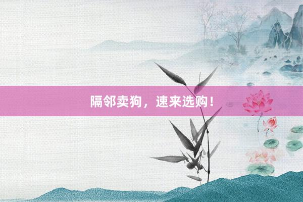 隔邻卖狗,速来选购!