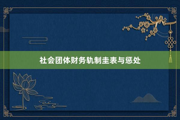 社会团体财务轨制圭表与惩处